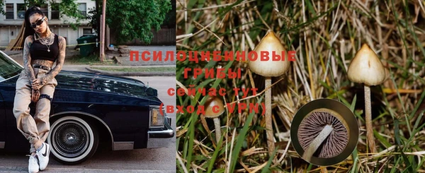 герыч Надым