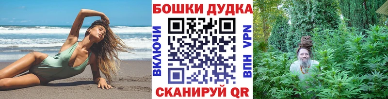 Канабис план Новопавловск